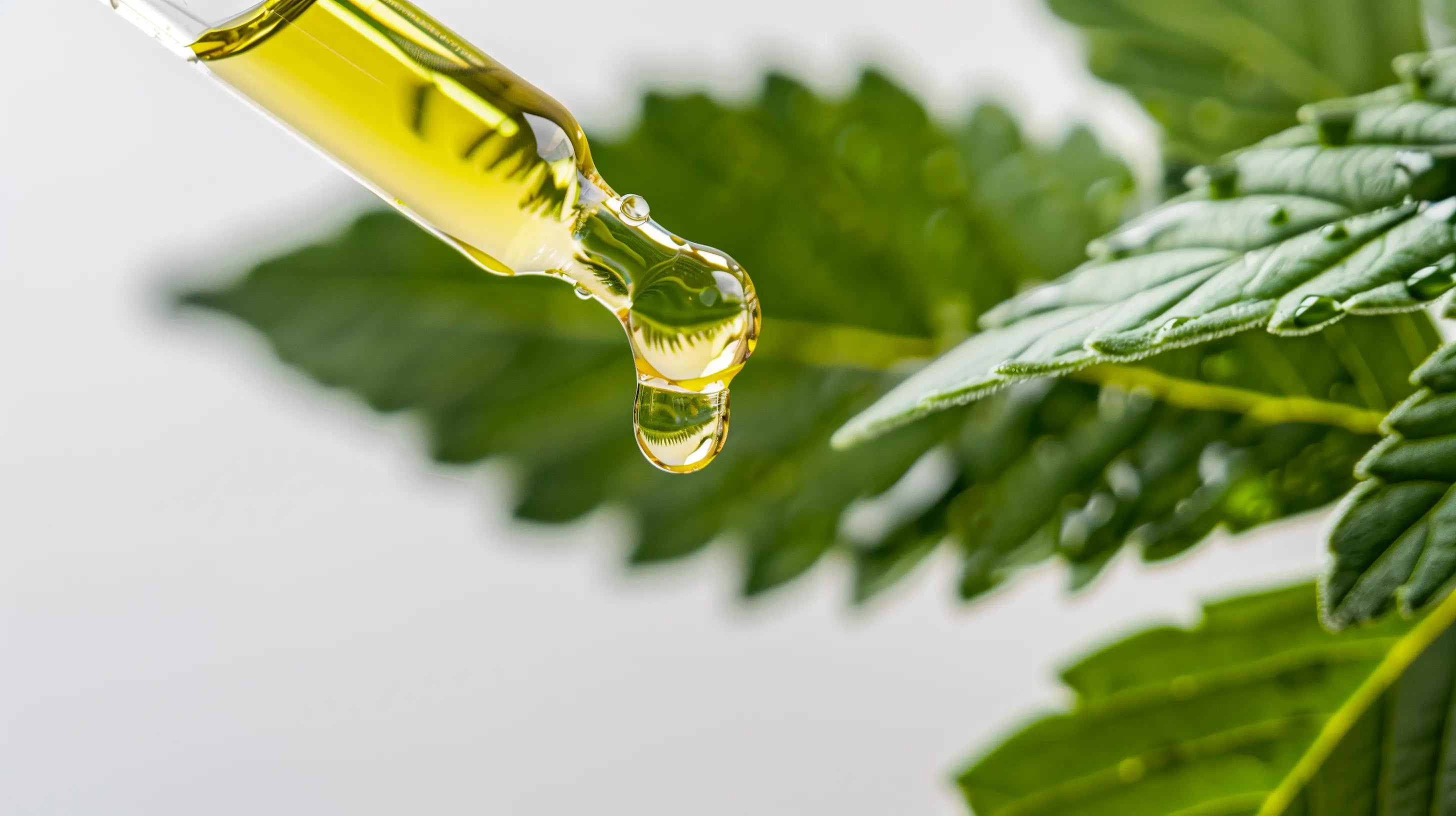 Plant Power for Luscious Locks: Explore Plant-Based Hair Care with I-N Intelligent Nutrients